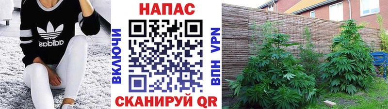 Как найти наркотики Джанкой ГАШИШ  Кокаин  APVP  Меф мяу мяу 