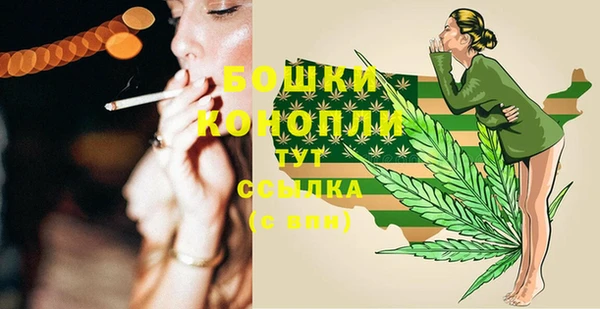 прущие грибы Краснослободск